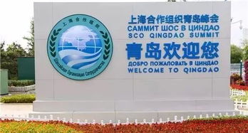 重磅 国际峰会后,青岛会是下一个风口城市吗